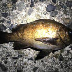 爆釣ポイント探し！