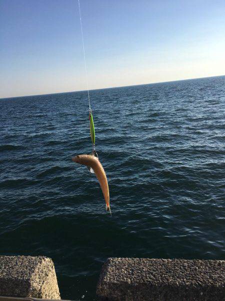 朝と夕でエソツー