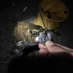 自作フロート炸裂！