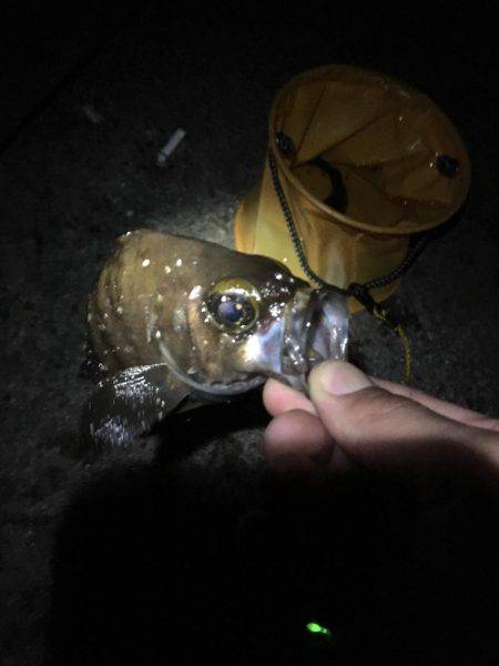 自作フロート炸裂！