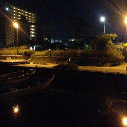 久しぶりのメバリング!!まだ浅場にいた!!