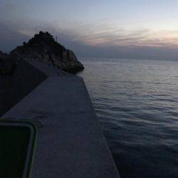 やっと春イカ…