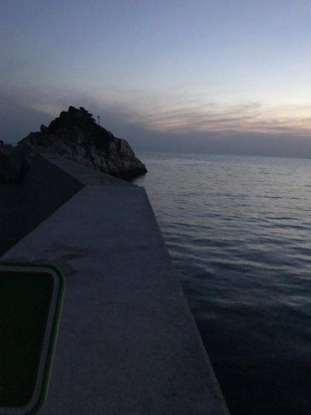 やっと春イカ…