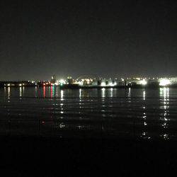 チヌは釣れない