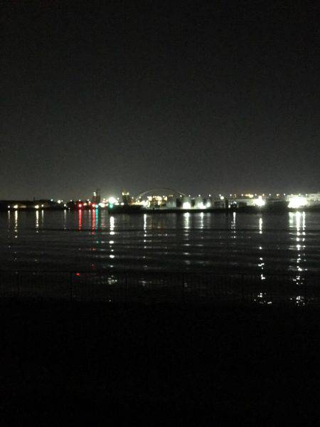 チヌは釣れない