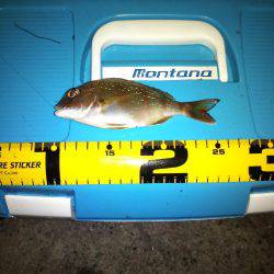 土曜の昼から翌朝方にかけて