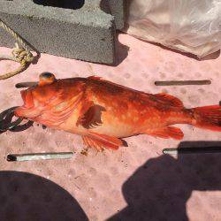 マイボートでタイラバ、ジギング 経ヶ岬沖