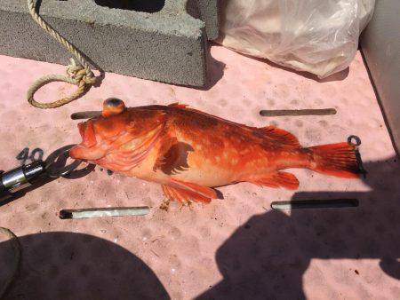 マイボートでタイラバ、ジギング 経ヶ岬沖