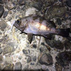 未開拓ポイント