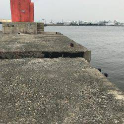 キス釣りに来たが