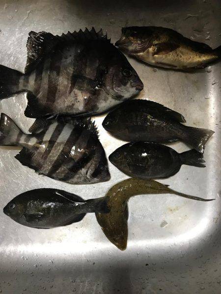 キスが食べたくて