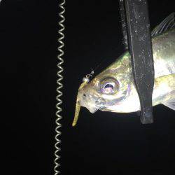 テクニカルアジング