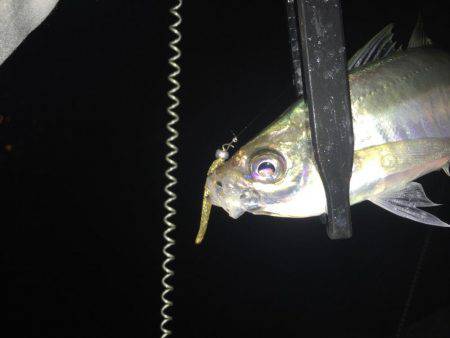 テクニカルアジング