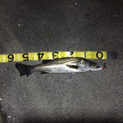 四日市市港にて