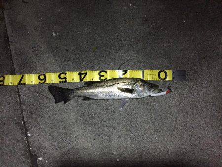 四日市市港にて