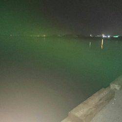 価値ある一本！