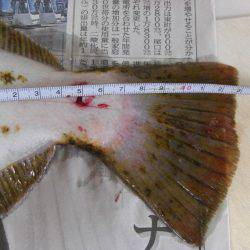 ひらめゲットだぜ!!