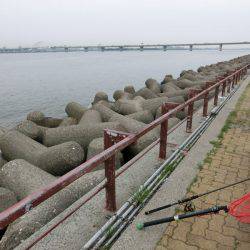 なんだかなあ～。