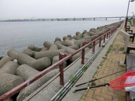 なんだかなあ～。