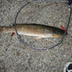 バースデープレゼント