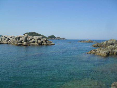 晴天、磯でアオリイカのヤエン釣り