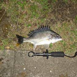 超短時間チニング