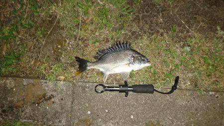 超短時間チニング