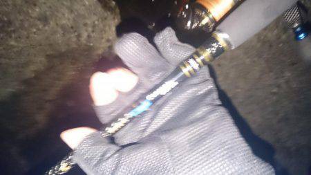 雑賀崎にて春イカ