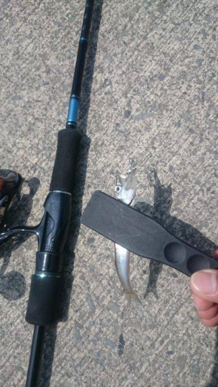 佐喜浜から恵比須浜まで