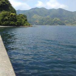 ライトロック調査