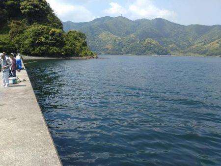 ライトロック調査