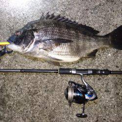 バチ抜けでシーバス&チヌ