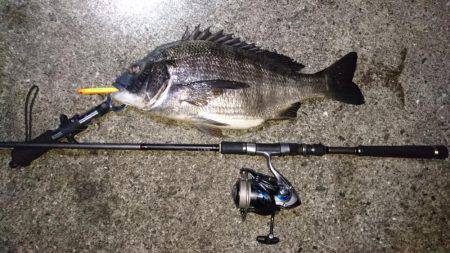 バチ抜けでシーバス&チヌ