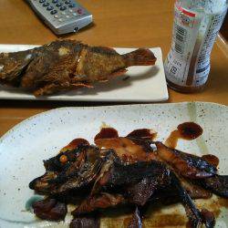 ちょろっと釣行