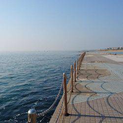 第1回、キス調査