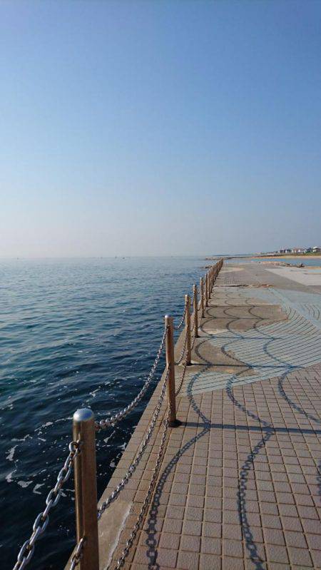 第1回、キス調査