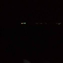 ロックフィッシュ