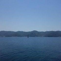 湯浅周辺でヤエンで2杯