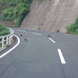 春イカを狙いに