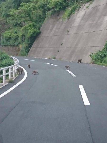 春イカを狙いに