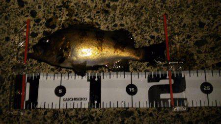 サーフでガツンっ！