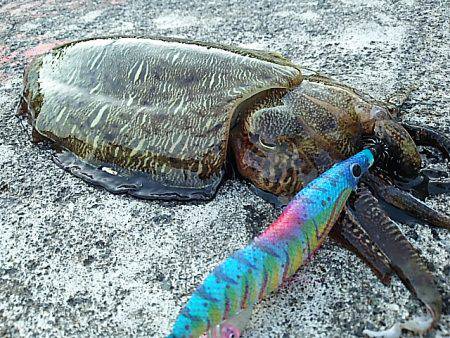 大きな水溜まり