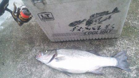 釣りに～～