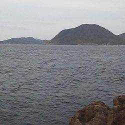 初釣果 海底を歩くヤツ