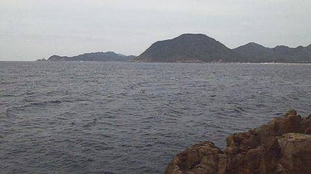 初釣果 海底を歩くヤツ