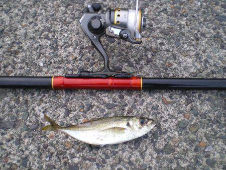 連休釣行釣行１