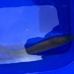 今シーズン 初キス!