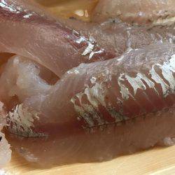 鯖きましたぁ〜♪