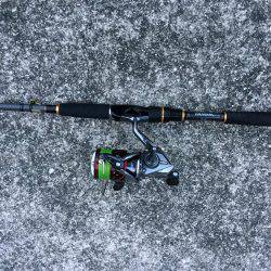 マイクロベイト