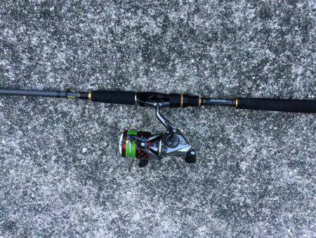 マイクロベイト